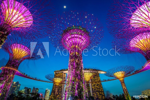 Picture of Supertrees at Gardens by the Bay